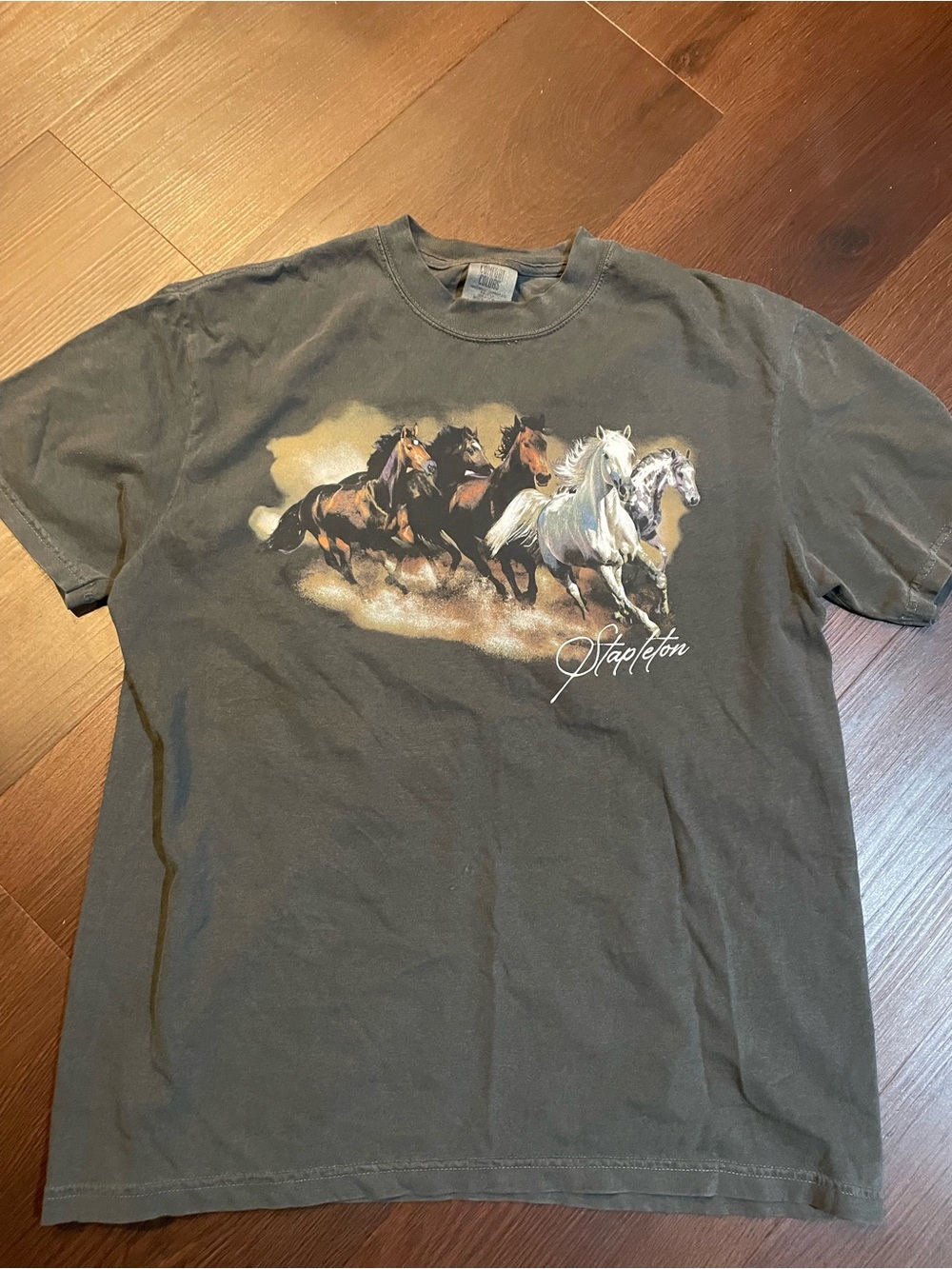 Chris Stapleton Gray Horse Graphic Tee